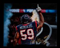 Whitney Mercilus picture 202//161